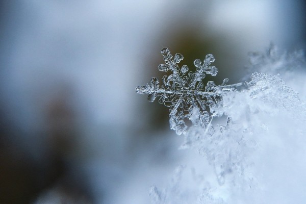 В четверг в Смоленской области ожидается небольшой снег