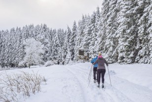 В Смоленске составили рейтинг популярных лыжных баз 