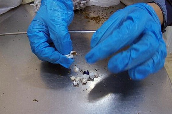 В Смоленске в сигаретах, переданных в СИЗО-1, нашли наркотики
