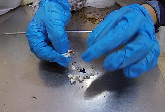 В Смоленске в сигаретах, переданных в СИЗО-1, нашли наркотики