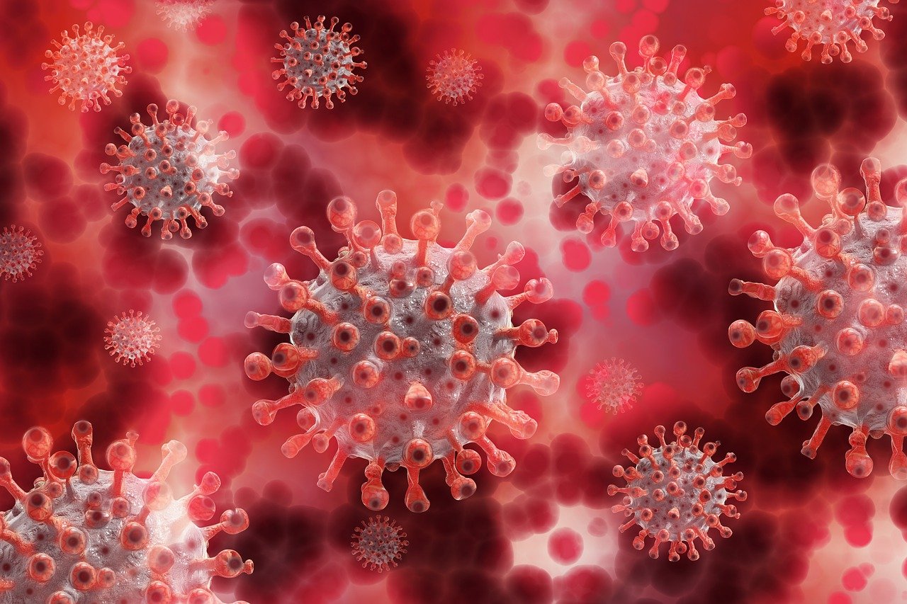 За сутки в Смоленске выявили 115 заболевших коронавирусом