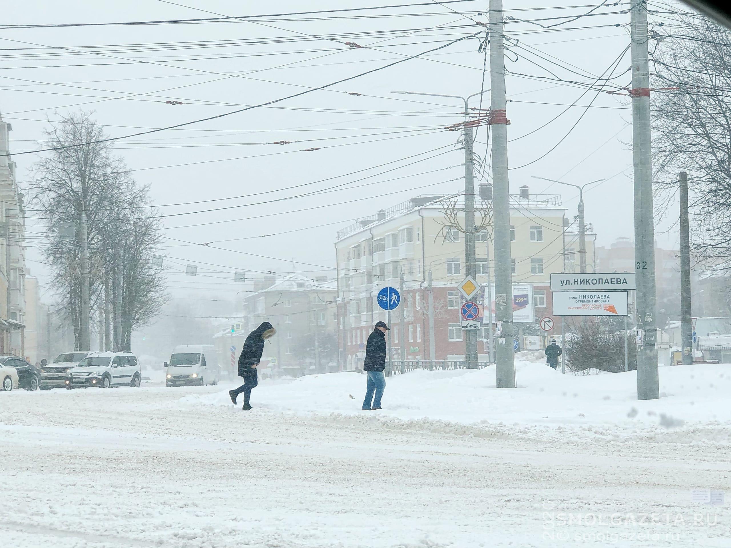 В каких районах Смоленской области выпало больше всего снега 