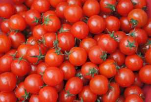 В Смоленской области утилизировали 20 тонн нелегально ввезенных томатов