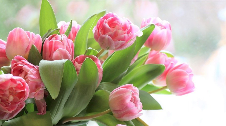 ВТБ: жители ЦФО увеличили траты на цветы и конфеты к 8 марта почти вдвое