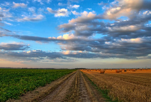 Смоленская область первой в России начала финансово поддерживать вовлечение земель в сельхозоборот