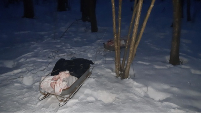 Житель деревни Зибрики незаконно застрелил лося