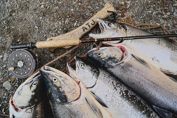 В Смоленской области ввели ограничения на ловлю рыбы