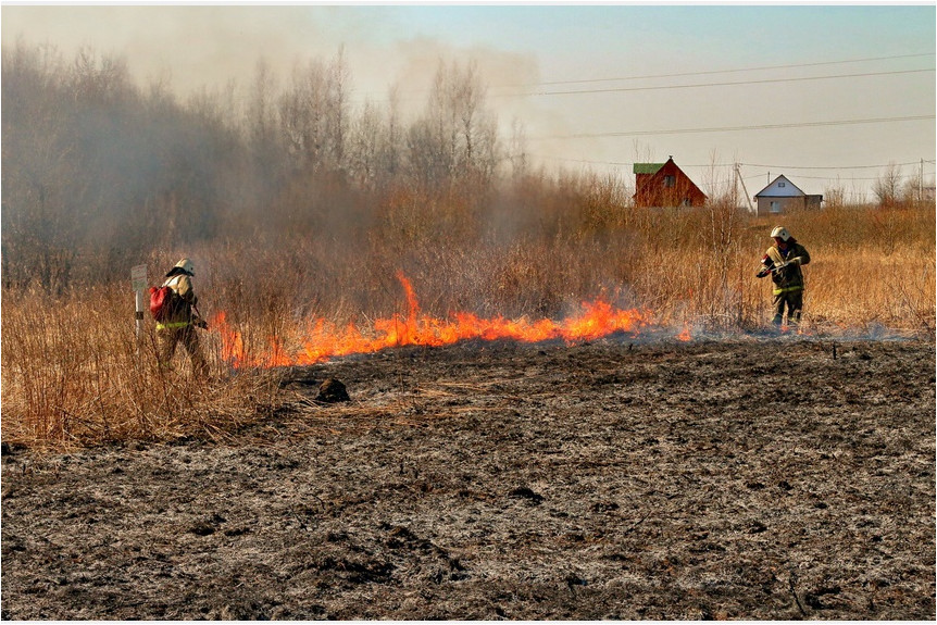 В Смоленской области зафиксировали 27 палов сухой травы