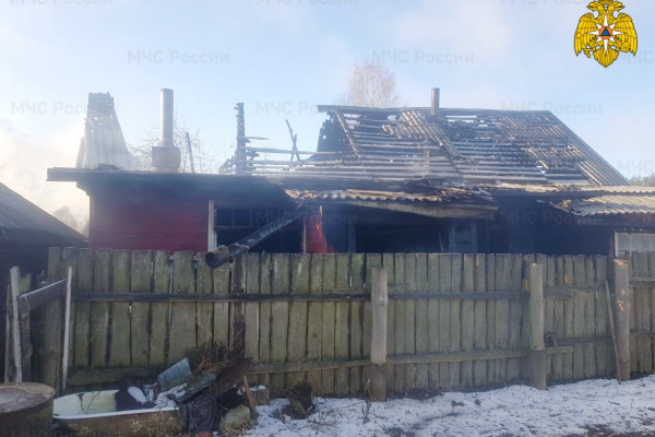 86-летняя смолянка спаслась из охваченного пламенем дома в Сычевке