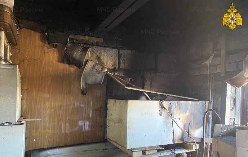 В Гагарине в результате пожара в гараже погибли птенцы