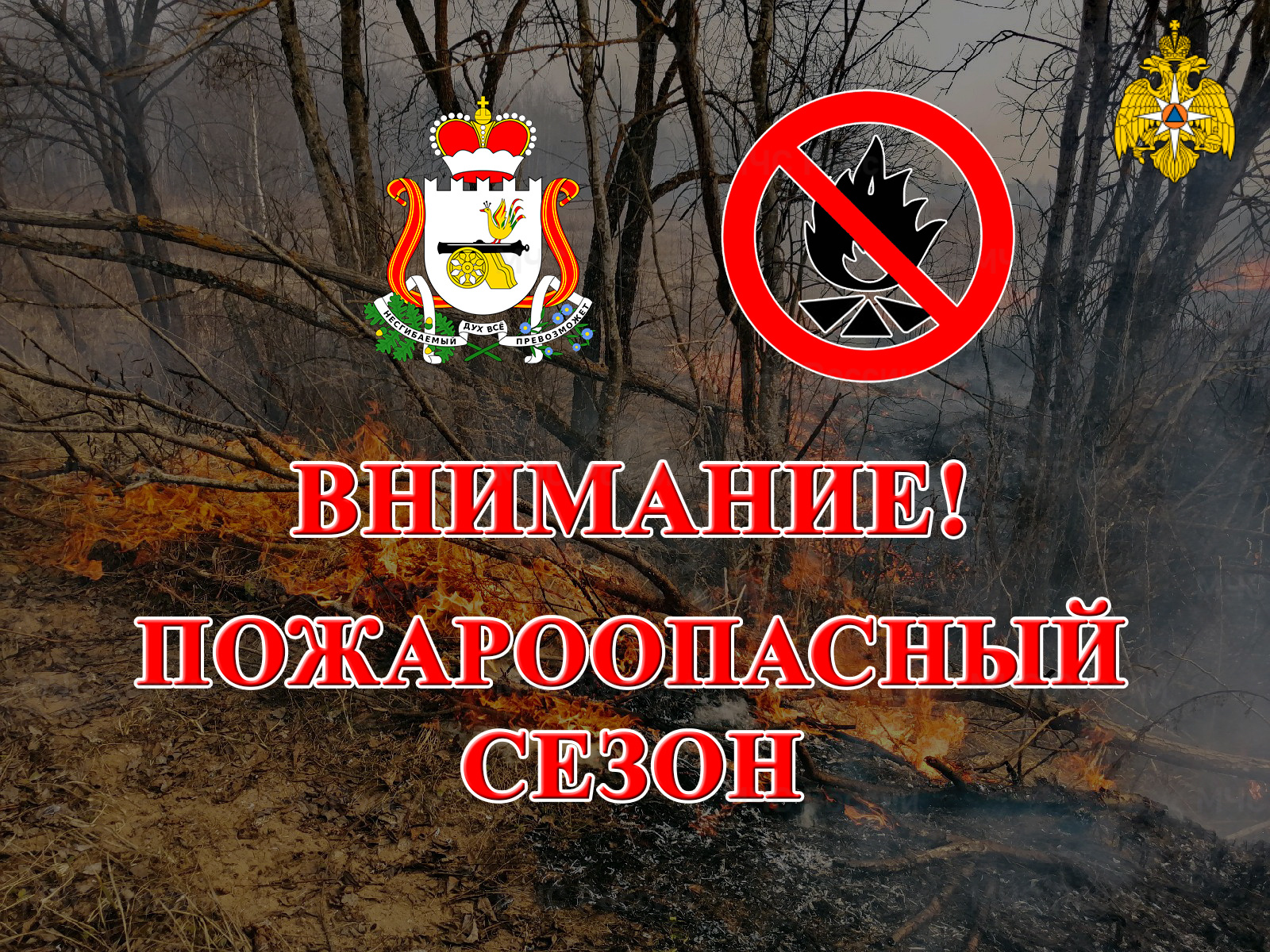 На Смоленщине официально начался пожароопасный сезон
