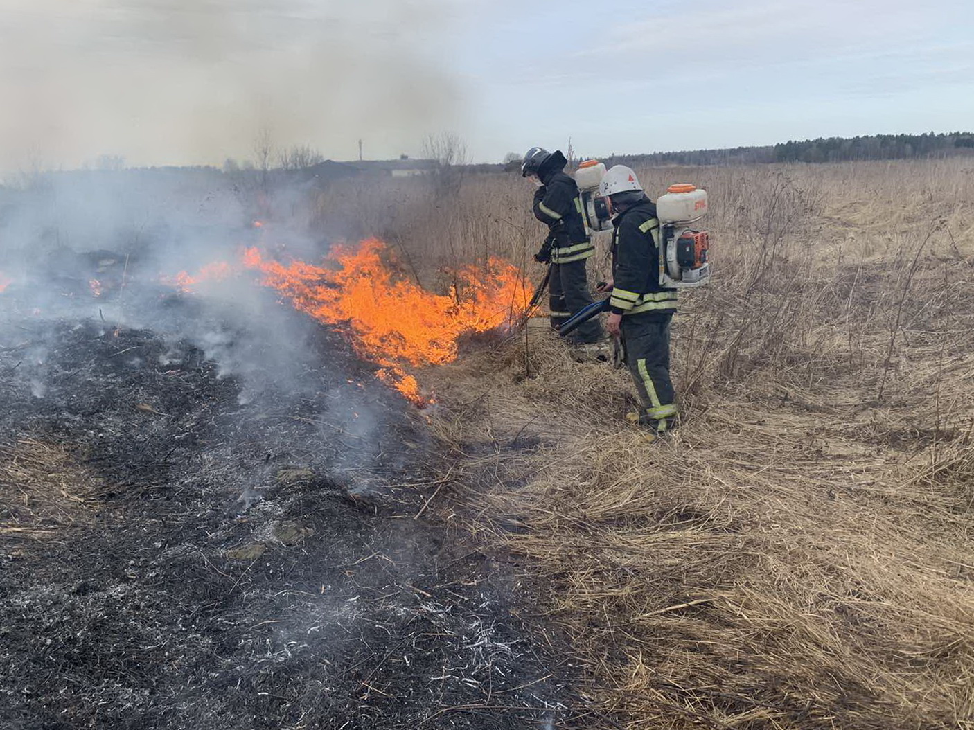 За сутки смоленские пожарные выезжали на тушение травы 123 раза