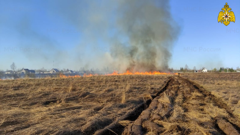 В Смоленской области нарушители правил пожарной безопасности несут строгую ответственность