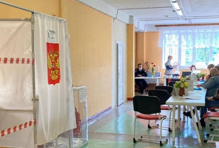 Жители Кардымовского района в двухдневном голосовании выбирают депутата Смоленской областной Думы