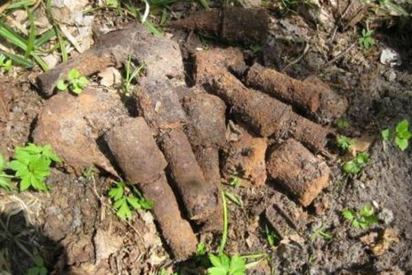 В Смоленской области обезвредили 130 взрывоопасных предметов времен войны