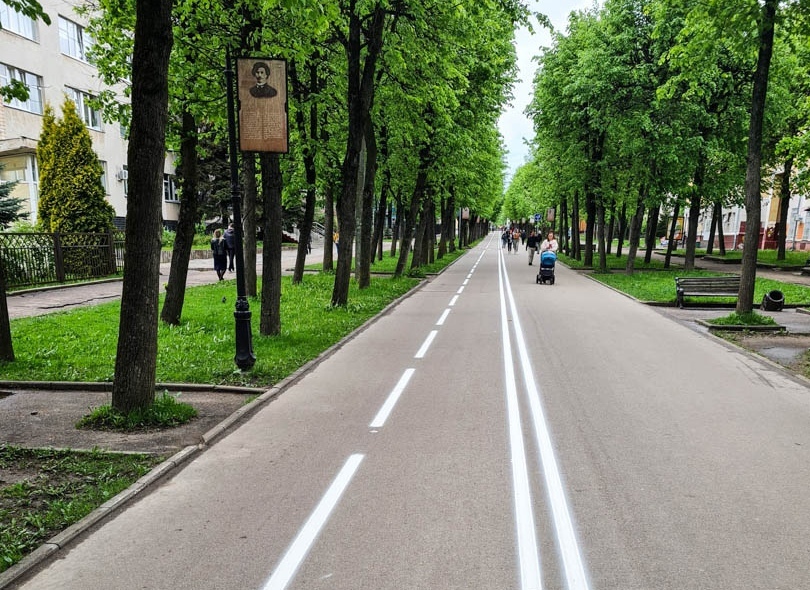 Губернатор Алексей Островский поручил обновить разметку велодорожек в Смоленске