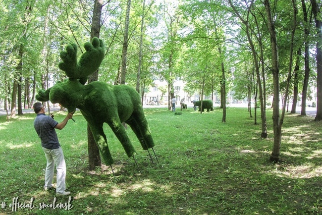 В Смоленске в Лопатинском саду появились «зеленые животные»