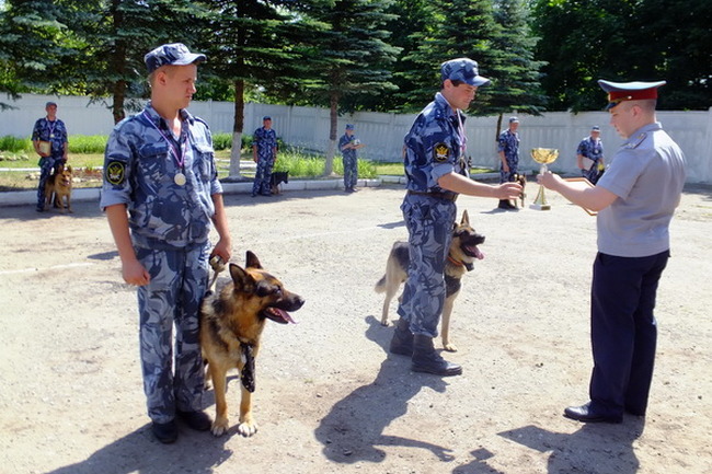 В смоленском УФСИН состоялись соревнования по многоборью со служебными собаками