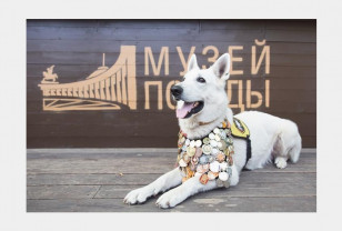 Смоляне могут принять участие в международном художественном конкурсе «Собаки-герои»