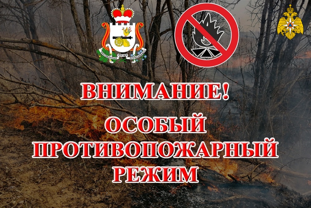 В Велижском районе объявили особый противопожарный режим