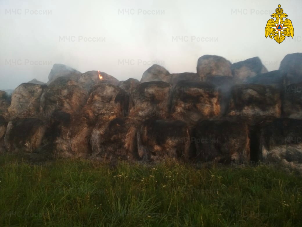 В Починковском районе сгорело 137 тонн заготовленного сена