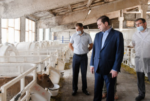 Губернатор посетил сельхозпредприятие «Талашкино-Агро»