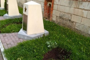 В Смоленске задержали мужчину, укравшего туи в Сквере Памяти Героев 