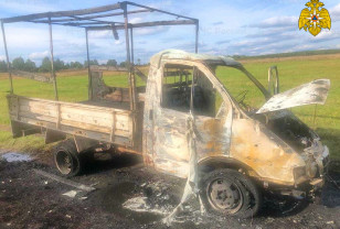 В Ельнинском районе сгорел автомобиль «Газель»