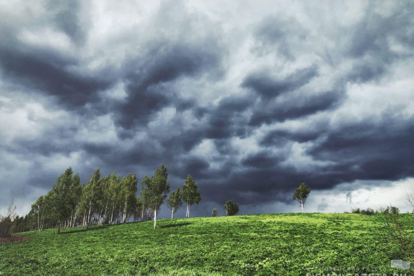 В Смоленской области спрогнозировали потенциально опасную погоду из-за грозы