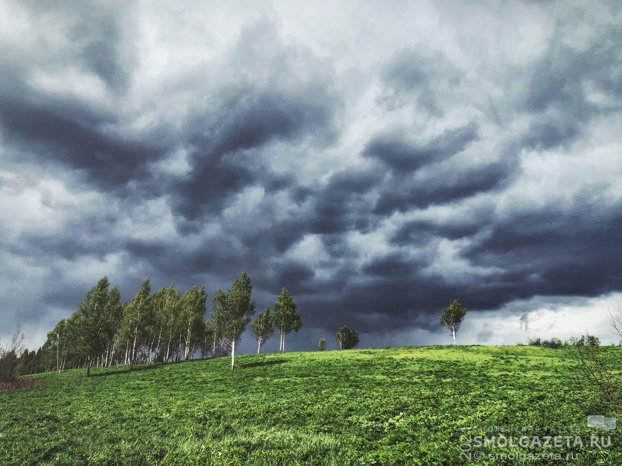 В Смоленской области спрогнозировали потенциально опасную погоду из-за грозы