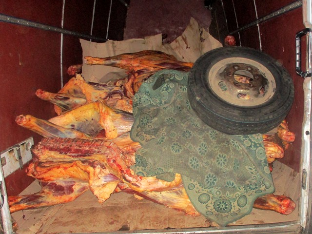 Три грузовика в объезд ветеринарных постов пытались провезти в Россию 5,5 тонны мяса