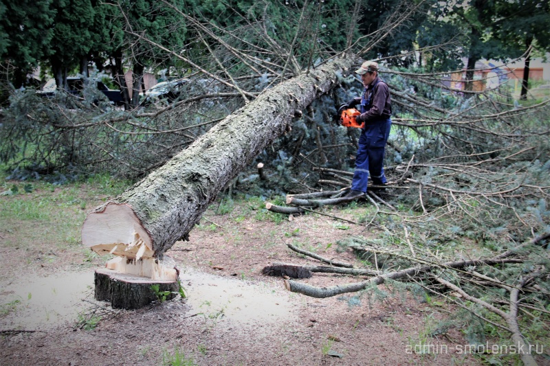 В Хиславичском районе ликвидировали последствия урагана