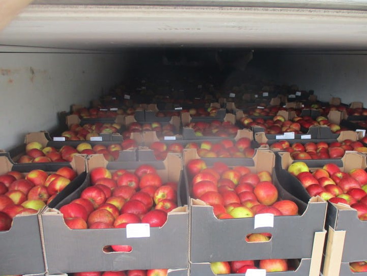 В Смоленской области задержали партию «пивных» яблок