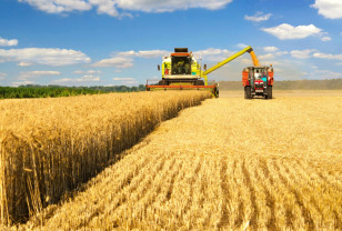Смоленские сельхозтоваропроизводители продолжают уборку урожая