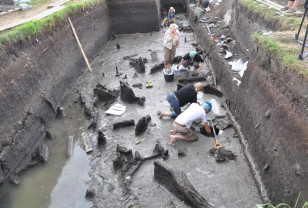В Велижском районе продолжаются археологические раскопки