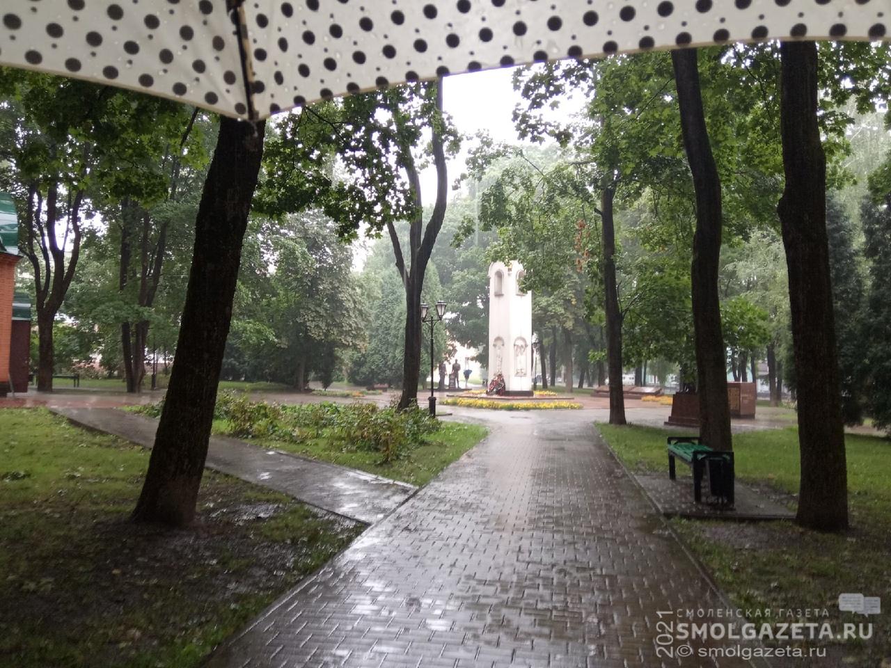 В Смоленской области в четверг ожидаются кратковременные дожди и грозы