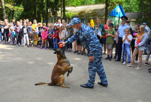 Смоленские полицейские рассказали юным патриотам о своей профессии