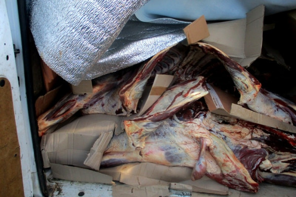 12 тонн нелегальных мяса и рыбы утилизировали в Смоленской области