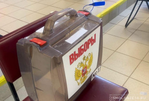 За выборами в сентябре в Смоленской области будут следить общественные наблюдатели