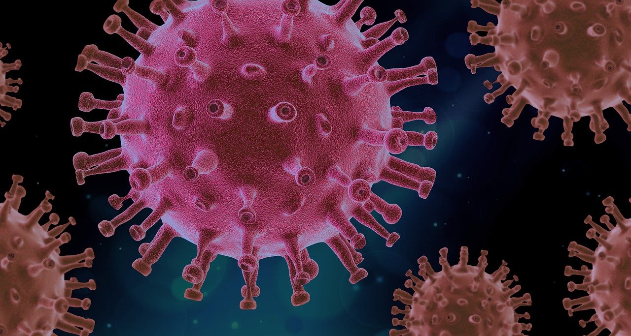 В 14 районах Смоленской области выявили новые случаи коронавируса