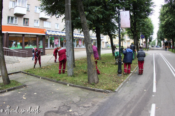 В Смоленске на улице Октябрьской революции приводят в порядок зелёную зону