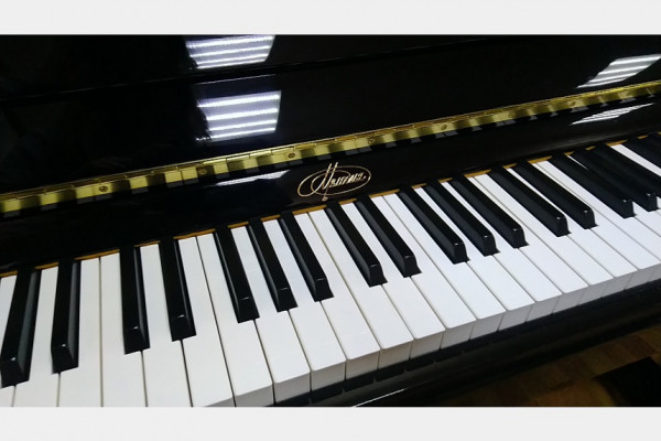 Смоленские школы дополнительного образования получили музыкальные инструменты и оборудование