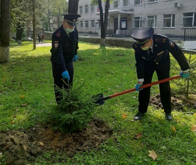 В Смоленске полицейские присоединились к экологической акции «Зеленая Россия»