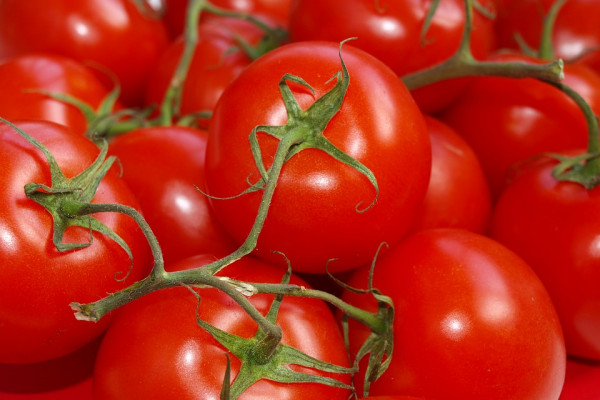В Смоленскую область запретили ввоз более 9 тонн зараженных томатов