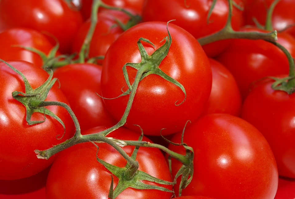 В Смоленскую область запретили ввоз 16 тонн зараженных томатов