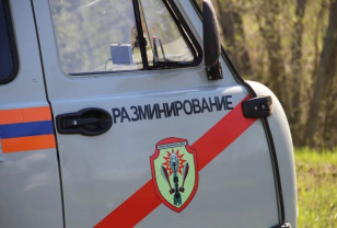 В двух деревнях Смоленской области сапёры обезвредили артснаряды и мины
