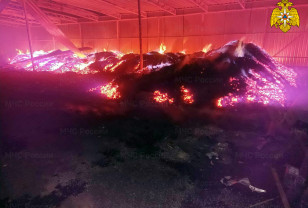В Смоленской области «вспыхнул» цех по производству древесного угля