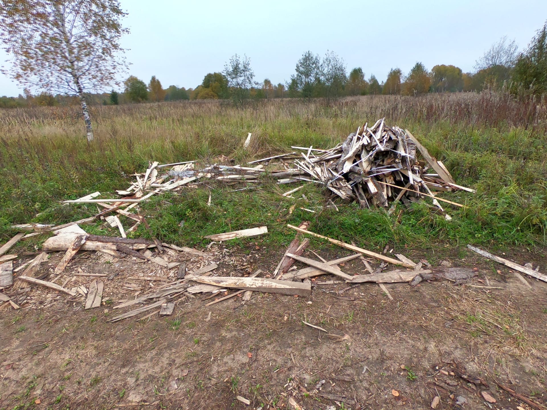 В Смоленской области ликвидировали свалку строительных отходов 