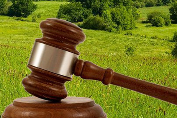 В Смоленской области у нерадивых пользователей в судебном порядке изъяли 1,9 тысячи га земель 