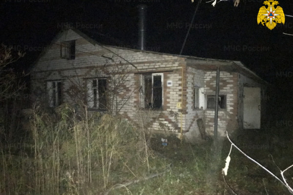 В Починковском районе в деревне Княжое случился пожар